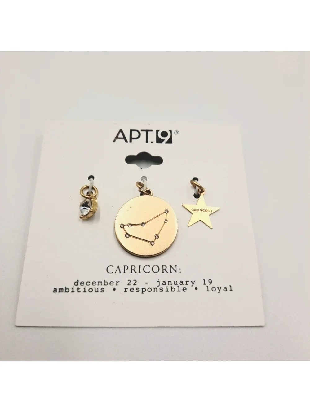 Capricorn Zodiac Pendant Charm Set